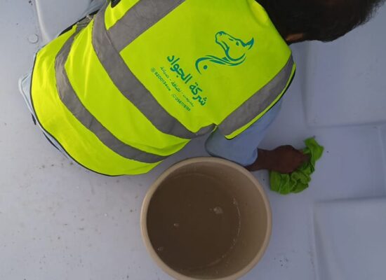 شركة الجواد (2)